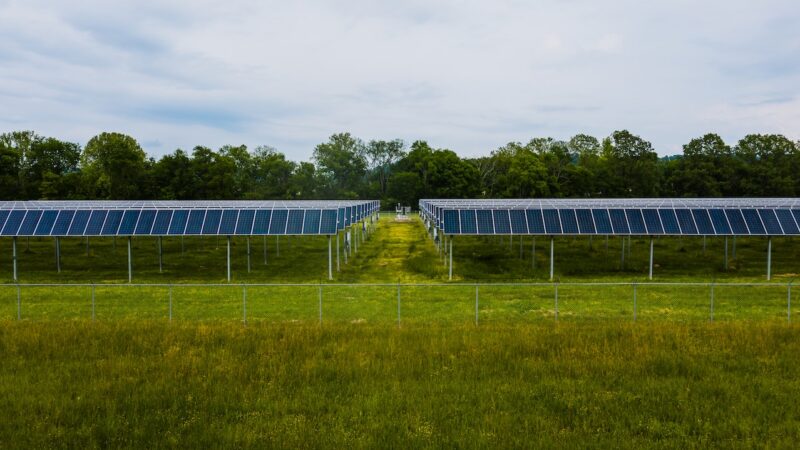 Construção sustentável: materiais e práticas ecologicamente corretas