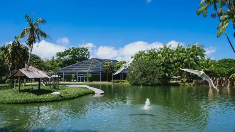 Bomba Solar 750W: Solução eficiente para sistemas de irrigação residenciais